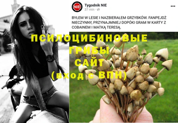 ECSTASY Абинск